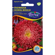 Jesenski aster Prinzess crvena 1 g