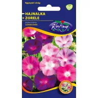 Noćurka grimizna mješavina boja 2 g