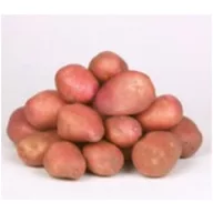 Sjetveni gomolji krumpira Desirée 50 kom