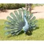 Metalna figura pauna Peacock