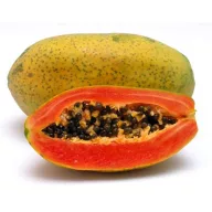 Papaja (Carica papaya) 5 kom