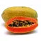 Papaja (Carica papaya) 5 kom