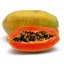 Papaja (Carica papaya) 5 kom