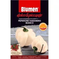   Bijela habanero paprika Blumen – izuzetno ljuta Blumen (oko 10–20 kom)