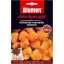 Narančasto habanero paprika – ekstremno ljuta Blumen (oko 10–20 plodova)
