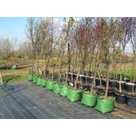 Tkaninski spremnik (rasadnički) poljski 20 l