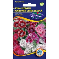 Mješavina boja kineskog karanfila 2 g