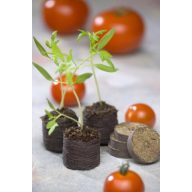 Torfne tablete Jiffy (48 kom)