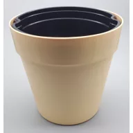 Dekorativni kaspo vanilija 21