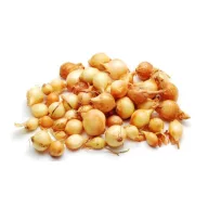 Dughagyma šalotka Red Sun 250 g