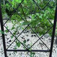 Apácarács Classic metalna rešetka smeđa 0,42x1,5 m