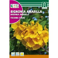 Žuti trubasti grm (Tecoma stans) Rocalba 1 g