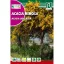 Hamvas akacija (Acacia dealbata) Rocalba