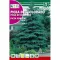 Srebrna smreka (Picea pungens) Rocalba 0,5 g