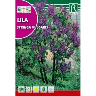 Jorgovan (Syringa vulgaris) Rocalba 2 g