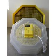 Inkubator 50-60 komada C5-HP