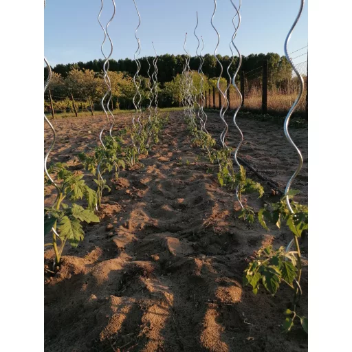 Spiralni kolac za rajčice 1,8 m