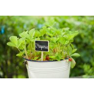 Drvena ploča, od drva 20,5x8,6x6 cm, 4 kom