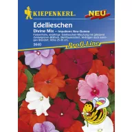 Nebáncsvirág Divine Mix Kiepenkerl oko 10 sjemenki