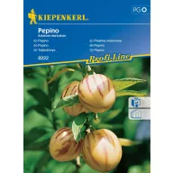Pepino Kiepenkerl 10 sjemenki