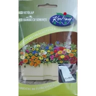 Sjetvena ploča Mješavina jednogodišnjeg cvijeća 10x80 cm