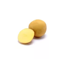 Sjemenski krumpir za izradu čipsa Sorentina 50 kom