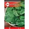 Špinat Saga F1 3g ZKI