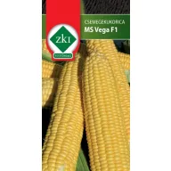 Slatka kukuruza MS Vega F1 100 sjemenki ZKI