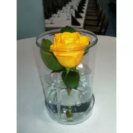 Plastična kutija za cvijeće za 1 stabljiku