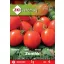 Paradajz Zömök 1 g ZKI