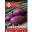 Šalotka ljubičasta Long Red Florence 2 g ZKI