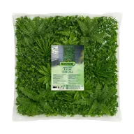 Zeleni zid s tropskim biljem Vertical Tropic 1x1 m