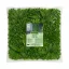Zeleni zid s tropskim biljem Vertical Tropic 1x1 m