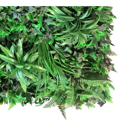 Zeleni zid s tropskim biljem Vertical Tropic 1x1 m