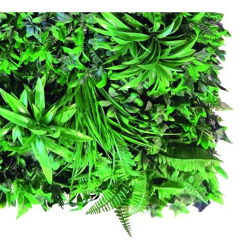 Zeleni zid s tropskim biljem Vertical Tropic 1x1 m