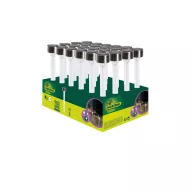 Vrtna solarna svjetiljka na kolcu Amarys 6x33 cm