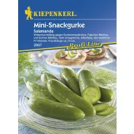 Mini snack krastavac Salamanda F1 Kiepenkerl