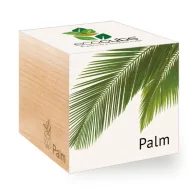 ecocube - Palma