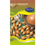 Luk za sadnju Makói jesenski 300 g