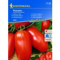 Salatna rajčica Pozzano 6 sjemenki Kiepenkerl