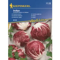 Salata Radicchio Indigo 40 sjemenki Kiepenkerl