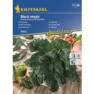 Kovrčavi kel Black Magic 30 sjemenki Kiepenkerl