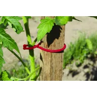 Stezaljka za biljke Tomatoclips za rajčice crvena 25 kom