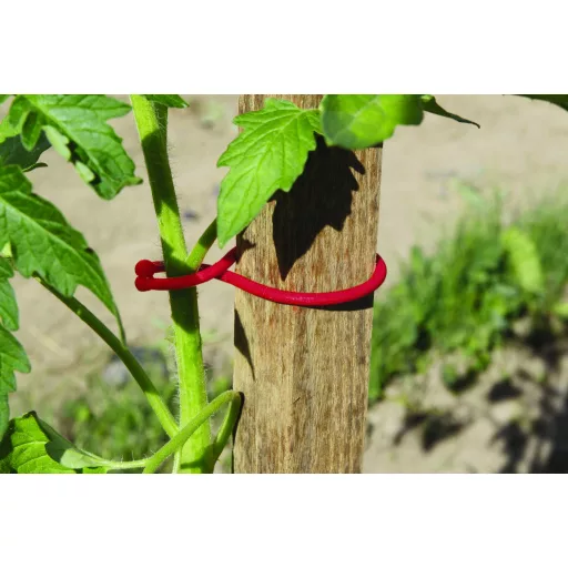 Stezaljka za biljke Tomatoclips za rajčice crvena 25 kom