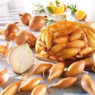 Lukovice Holland Bamberger (sonka) 14-19 mm 250 g VM