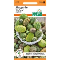   Mješavina ukrasnih krastavaca (Ziergurken) 30 sjemenki Samen Pfann