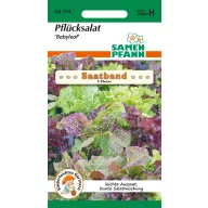 Traka za sjetvu Salata za rezanje Babyleaf 5 m Samen Pfann