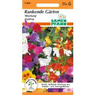   Mješavina sjemena jednogodišnjih penjačica za 5 m2 Samen Pfann