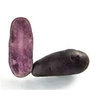 Gomolj za sjetvu krumpira ljubičasti Fleur Bleue 0,5 kg