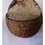 Hrana za ptice Vogelpick s grožđicama i kokosom 400 g